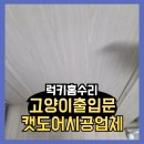 서령로 | 고양이출입문 캣도어시공업체