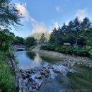 다숲펜션 이미지