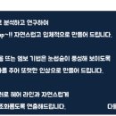 디자인느낌