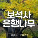 스테이로이 이미지