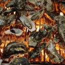 증평밧데리할인매장 이미지