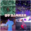 세탁왕 김탈수 라운지 | [경주 실내 가볼만한곳] 경주 이색데이트 코스믹리조트 내돈내산 후기 및 할인링크