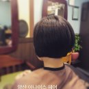아나이스헤어 이미지