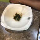 샤브향진량점 이미지