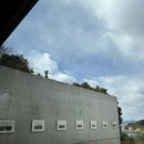 다카마쓰 day 2 &#39;나오시마섬 갤러리 투어&#39;
