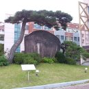 학동제일 이미지