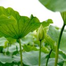 권씨농장 이미지