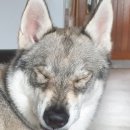 올리스24 명지점 이미지