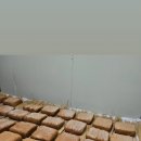 오남농장 이미지