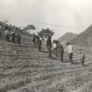 오리초등학교 이미지