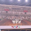 롤링버니즈 이미지