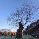 천년뜨락작은도서관 | ​경북 예천 한천사ㅣ천년의 고요함을 간직한 보물 사찰 ‘한천사’