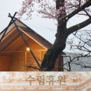 수림휴원 이미지