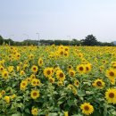 대부도해양본부 이미지