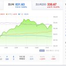 DB인터내셔널