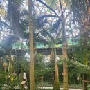 거제식물원 | 거제 여행 코스 추천직접 다녀온 거제식물원 정글돔 솔직 후기