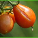 더메이피부과의원 이미지