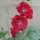 바람과 구름 이미지