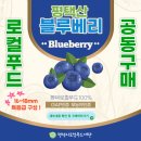 평택시로컬푸드재단 이미지