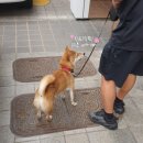 (주)멍이사랑 이미지