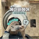태평양미용실 - 성동구 | 망원동 미용실 클리닉후기 에이바헤어 망원점