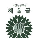 해올 Daum카페