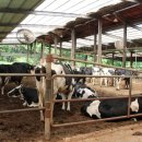 현준목장 이미지