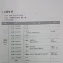 라비돌