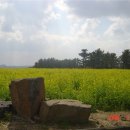 J6355 Daum카페