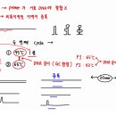 분자 생물학 실험 부분 PCR 질문있습니다. 이미지