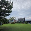 애견펜션 돌봄 | 안면도 애견펜션 추천 안면도 돌봄펜션 후기 – 초대형 잔디마당, 반려견이 먼저 웃는 펜션