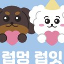 럽멍럽잇 네이버블로그