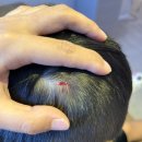 서울백가정의학과의원 이미지