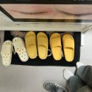 메디노크 이미지