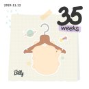 11545-11-36-12 | [임신 35-36주차] 막달검사, 역아 제왕 날짜 픽스...산후도우미 온라인 신청, 임신 후기 증상 &amp; 일상 기록