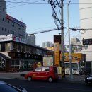 해.우(牛).돈(豚)