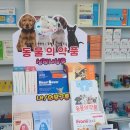 정한약국 이미지