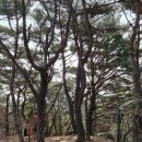 함허동천 야영장 이미지