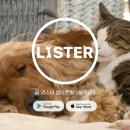 옐로우 켄넬 이미지