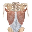 피트니스89짐 이미지