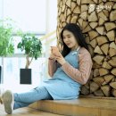 다옴솔루션 이미지