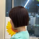아브헤어 이미지