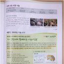 초록디딤돌 네이버블로그