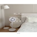 3in1 무소음 아기 선풍기 블루부스 에어부스 서큘레이터 후기