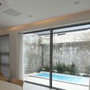 제주애단비 마주 이미지