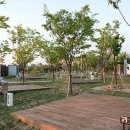 맑음터공원 캠핑장 이미지