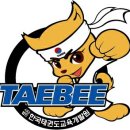 태비태권도장 이미지