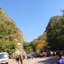 천연머리염색 전문점 이미지