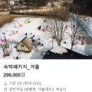 청도 군불로 숙박 패키지 겨울 예약 눈썰매 후기 + 로카커피 카페