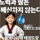 타이거 현대 태권도장 네이버블로그